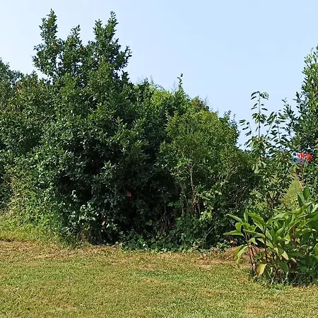 Maison A 5km Du Centre De Bayonne * Tarnos
